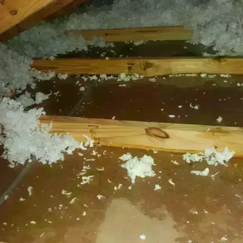 Attic Water Damage in Brent, FL