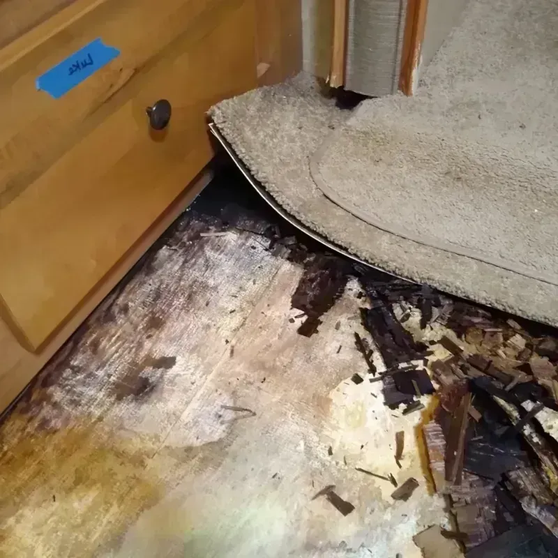 Wood Floor Water Damage in Brent, FL